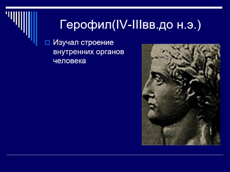 Герофил(IV-IIIвв.до н.э.) Изучал строение внутренних органов человека
